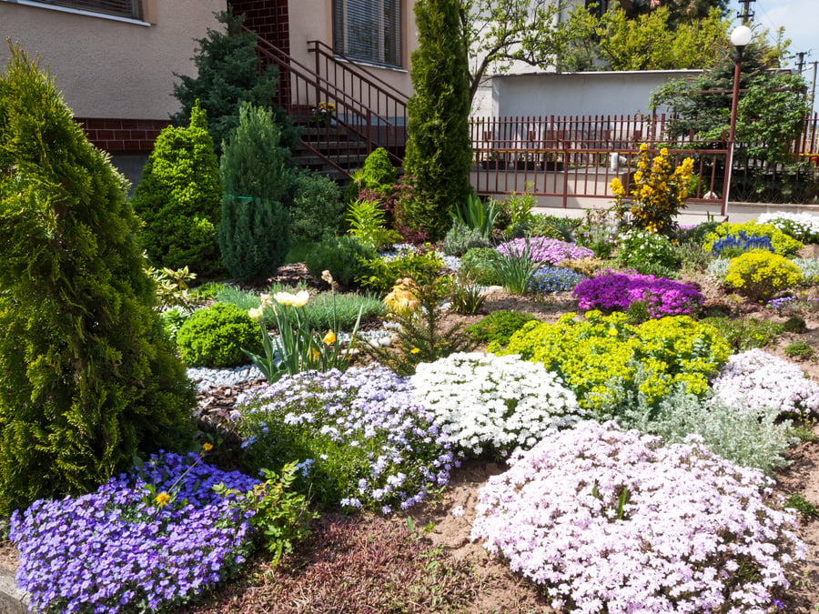 Front yard landscape